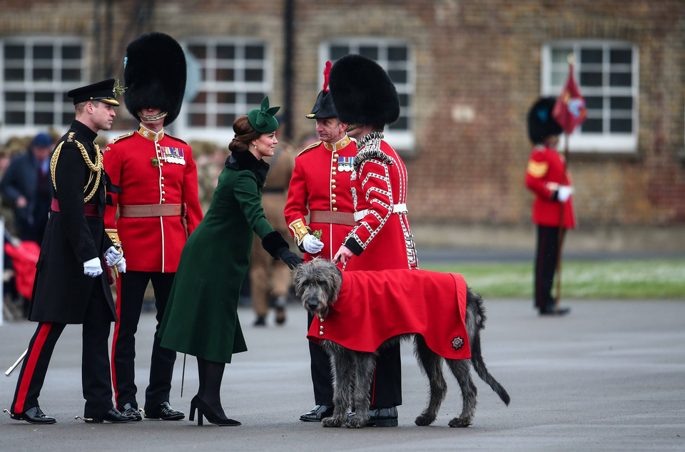 Księżna Kate i książę William na spotkaniu z irlandzkimi gwardzistami