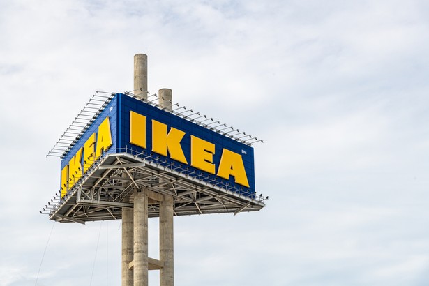 IKEA będzie eliminować nabiał w swoich punktach sprzedaży. Cel? Klimatyczny