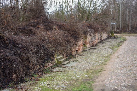 Kostrzyn nad Odrą - ruiny twierdzy i Starego Miasta