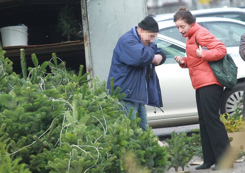 Barbara Sienkiewicz kupuje choinkę