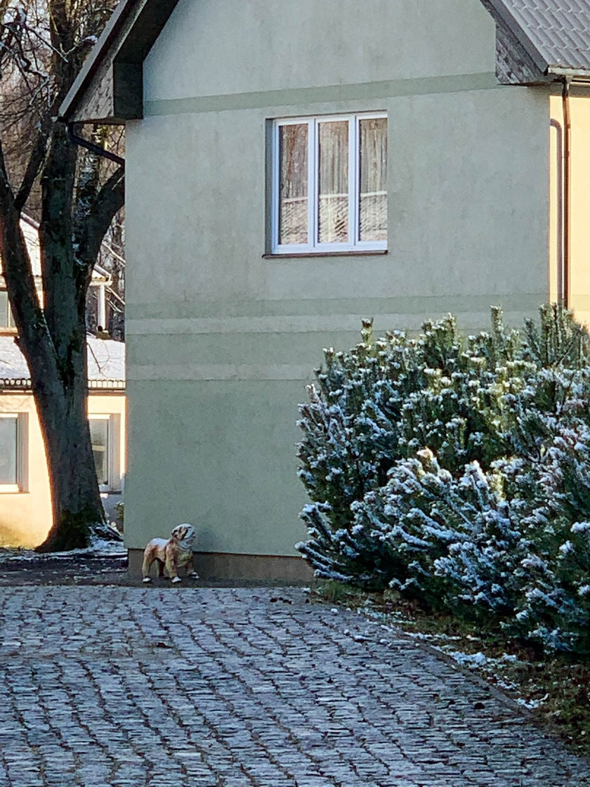 Czy były senator PiS Waldemar B. odpowie za zabicie psa?