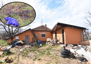 kombo ubistvo čortanovci