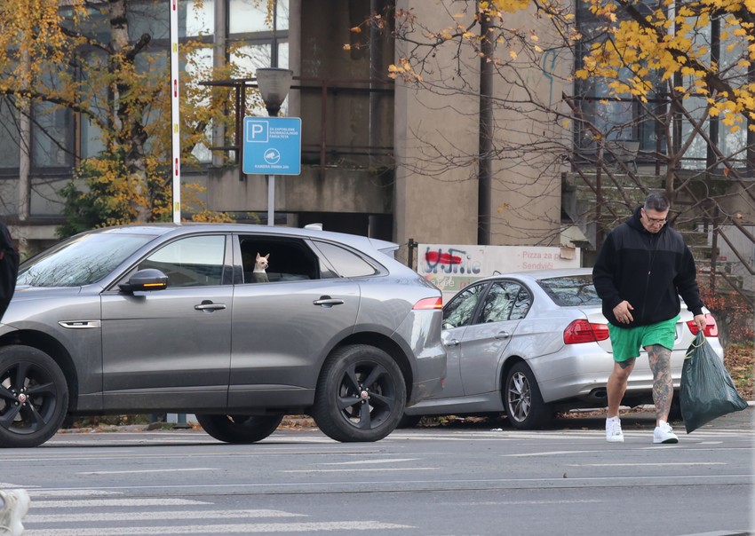 Kristijan Golubović