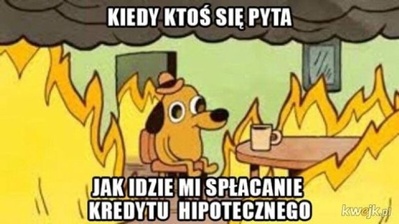 Tydzień w memach