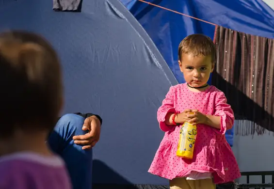 Imigranci i uchodźcy będą gotować dla Polaków. Powstaje knajpa, w której zjesz dania z rejonów objętych wojną