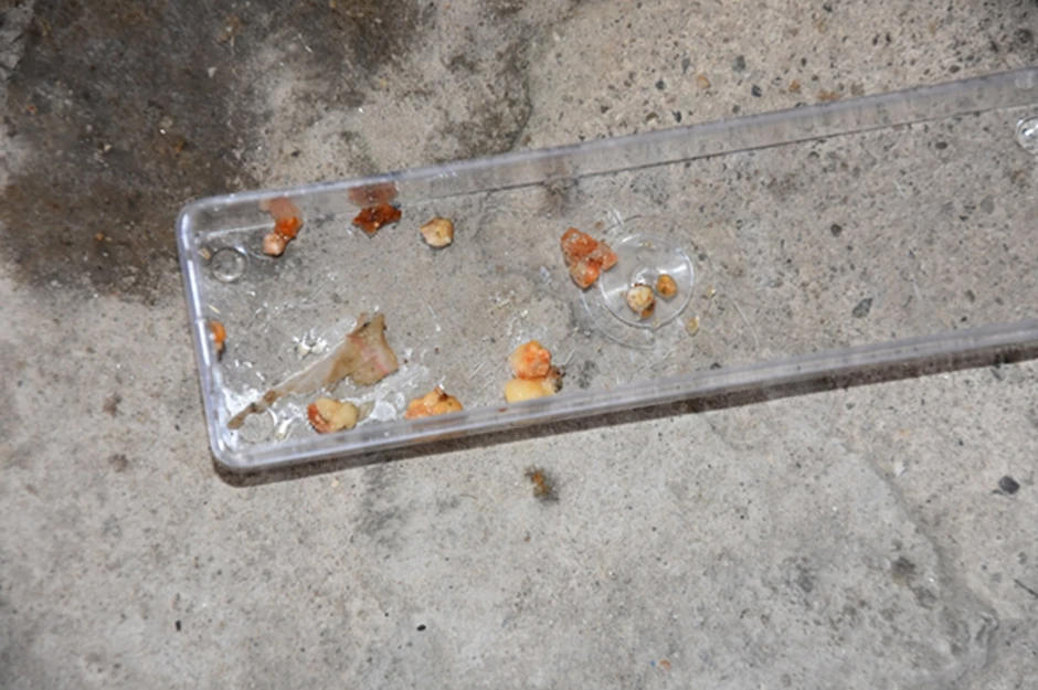 Zabranjeno preuzimanje fotografija bez saglasnosti redakcije Blic (32)