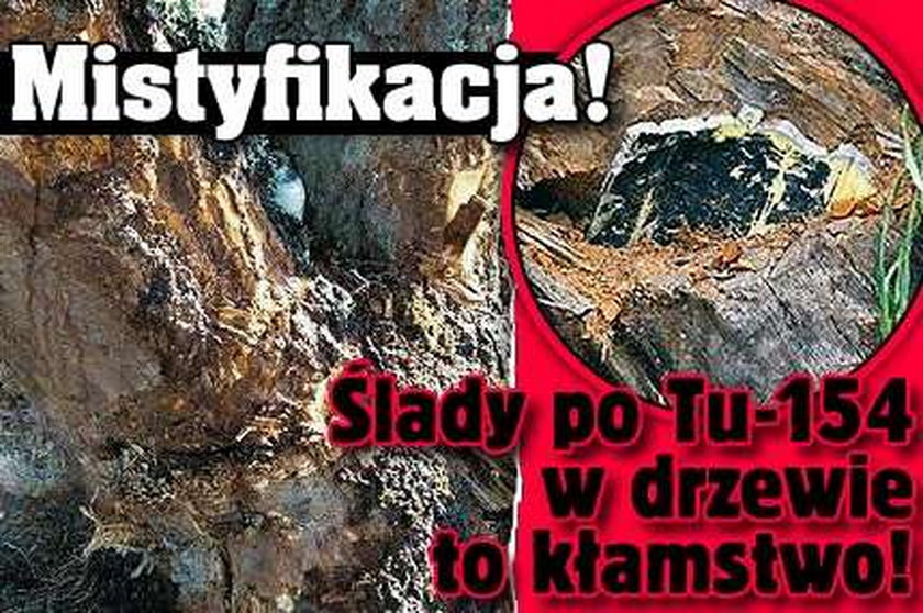 Mistyfikacja! Ślady po Tu-154 w drzewie to kłamstwo!