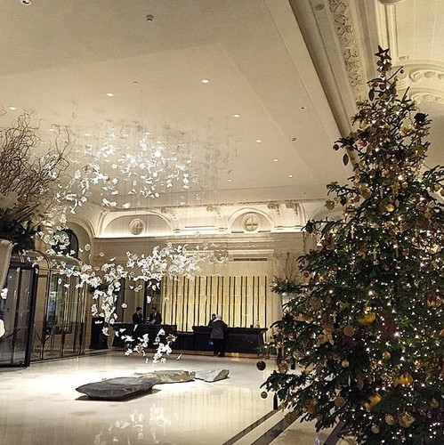 Sara Boruc spędzi sylwestra w ekskluzywnym hotelu w Paryżu