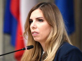 Główne założenia pierwszej odsłony tarczy prawnej