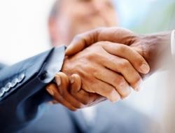 Umiejętnie rozpoznaje ,,punkty zapalne” i poszukuje skutecznego rozwiązania sporów wśród członków zespołu. Niechętnie wdaje się w kłótnie, jest raczej moderatorem i szuka kompromisów. Gdy klienci potrzebują pomocy, najchętniej zwracają się właśnie do takich pracowników. Ich mocną stroną jest opanowanie, racjonalne myślenie i pozytywne nastawienie. Często to osoby z dużym poczuciem humoru, który wykorzystują do rozładowania atmosfery.