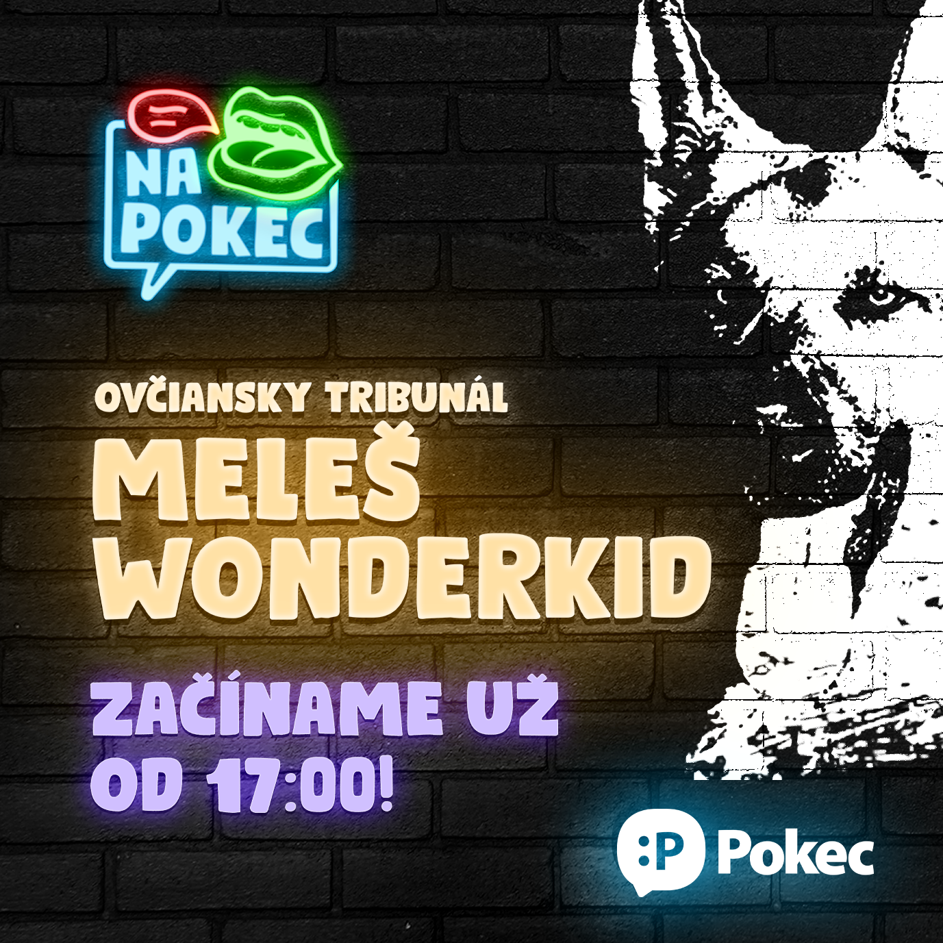 Meleš Wonderkid bude s vami chatovať na Pokeci vo štvrtok 18. augusta.