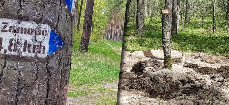 Kiedy premier dowiedział się o rakiecie pod Bydgoszczą? Wymijająca odpowiedź generała