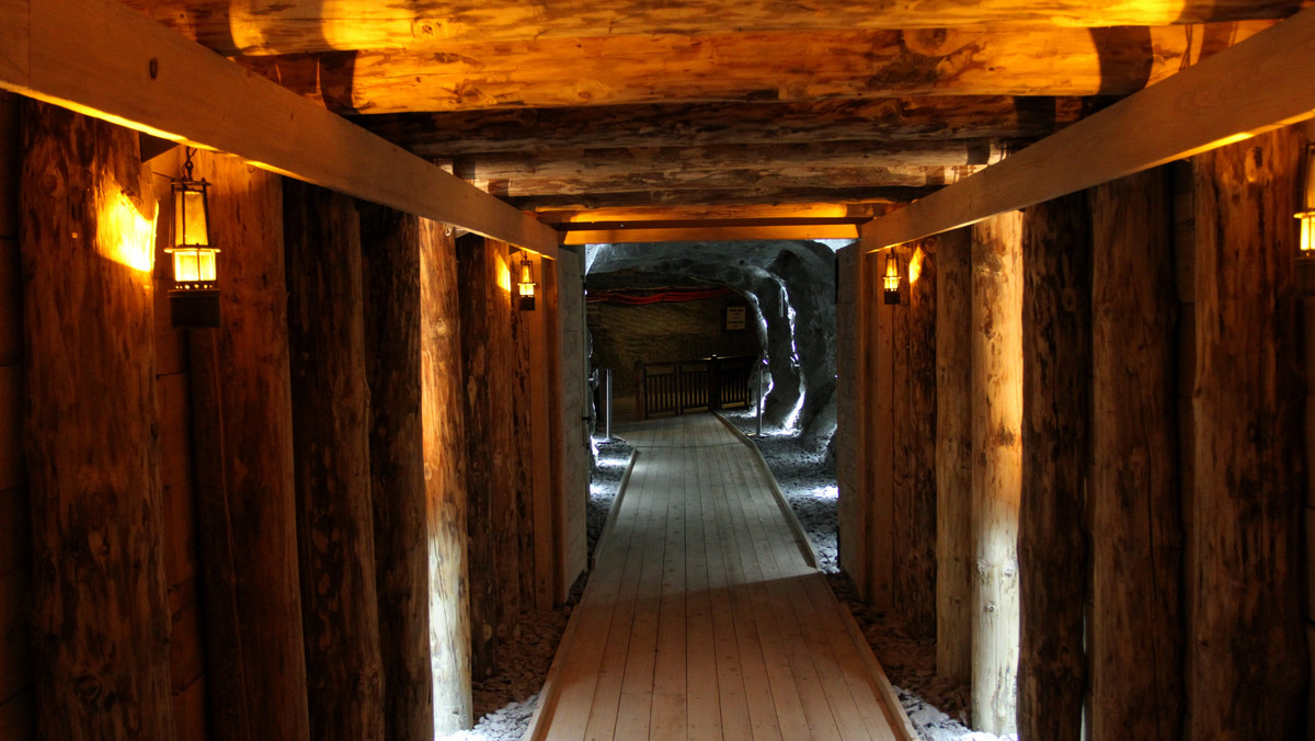 W kopalni soli Wieliczka turystom i kuracjuszom udostępnionych jest 4 proc. podziemnych wyrobisk o charakterze zabytkowym. W pozostałych 96 proc. pracują górnicy, kontrolując zarówno najcenniejsze komory i chodniki, jak i te podlegające likwidacji - poinformowano w kopalni.
