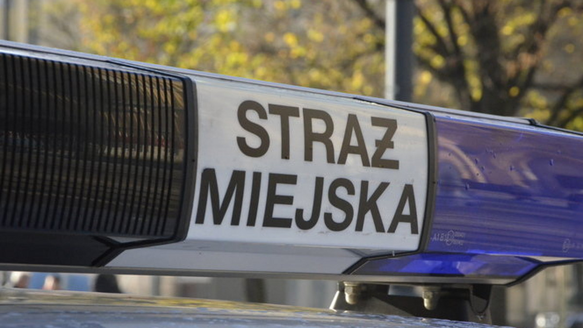Osoby przebywające minionej nocy w okolicach olsztyńskiego Starego Miasta mogły natknąć się na niecodzienny widok. W przepływającej przez park Łynie znalazł się samochód straży miejskiej - informuje "Twój Kurier Olsztyński".