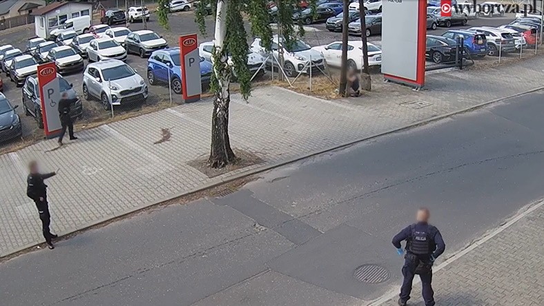 Un Lucas desarmado es el objetivo de la policía esquizofrénica