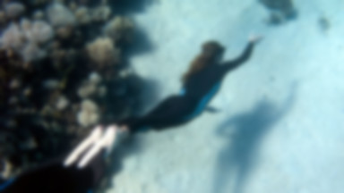 Gdzie nurkować: Pod wodę na bezdechu
