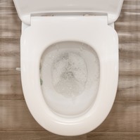 Ezért szór most mindenki cukrot a WC-be