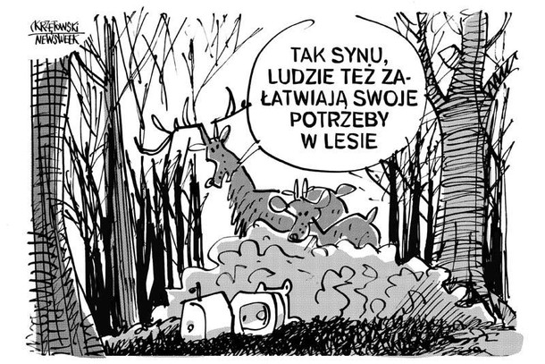 Potrzeby w lesie śmieci las krzętowski