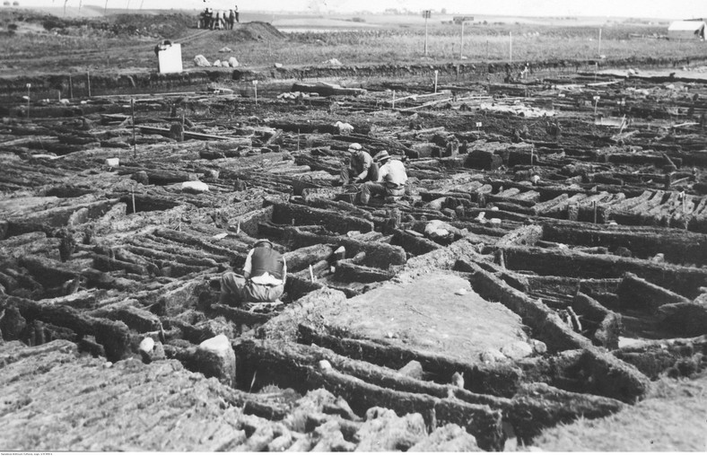 Wykopaliska na terenie osady kultury łużyckiej w Biskupinie