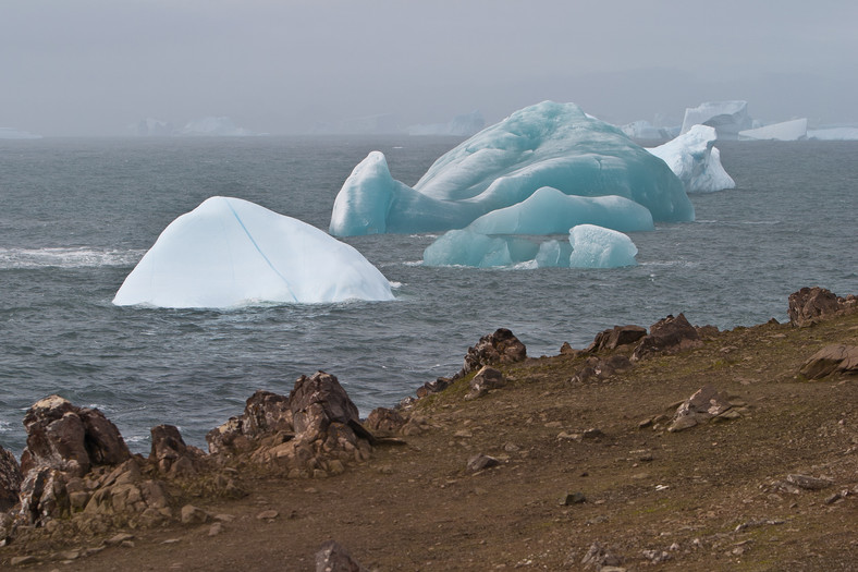 Góry lodowe przy brzegach Wyspy Słoniowej, Antarktyda
