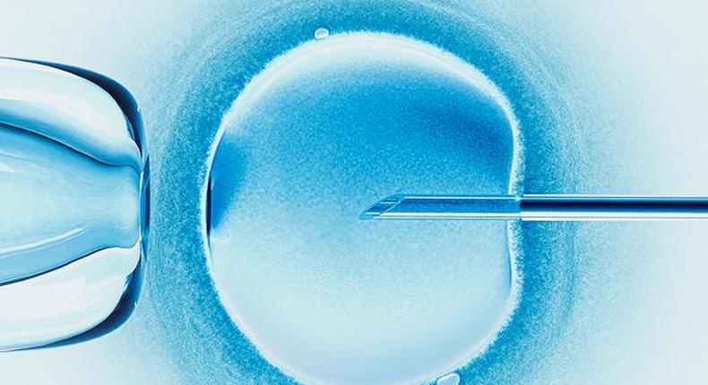 ___7100804___https:______static.pulse.com.gh___webservice___escenic___binary___7100804___2017___8___5___13___scientists-successfully-edit-embryo-dna