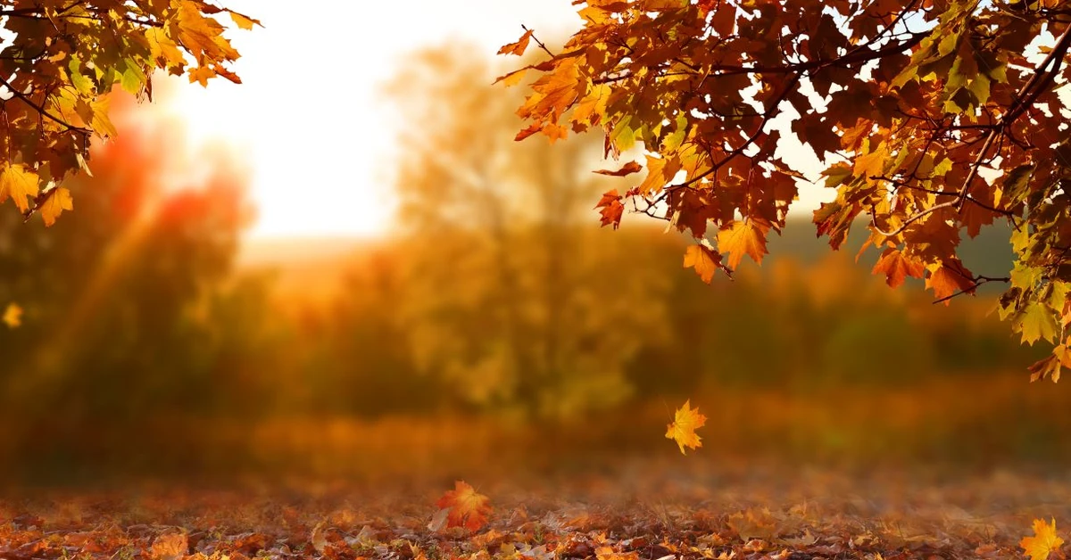 Jeden prosty nawyk, który zmniejsza ryzyko chorób serca o dwie trzecie