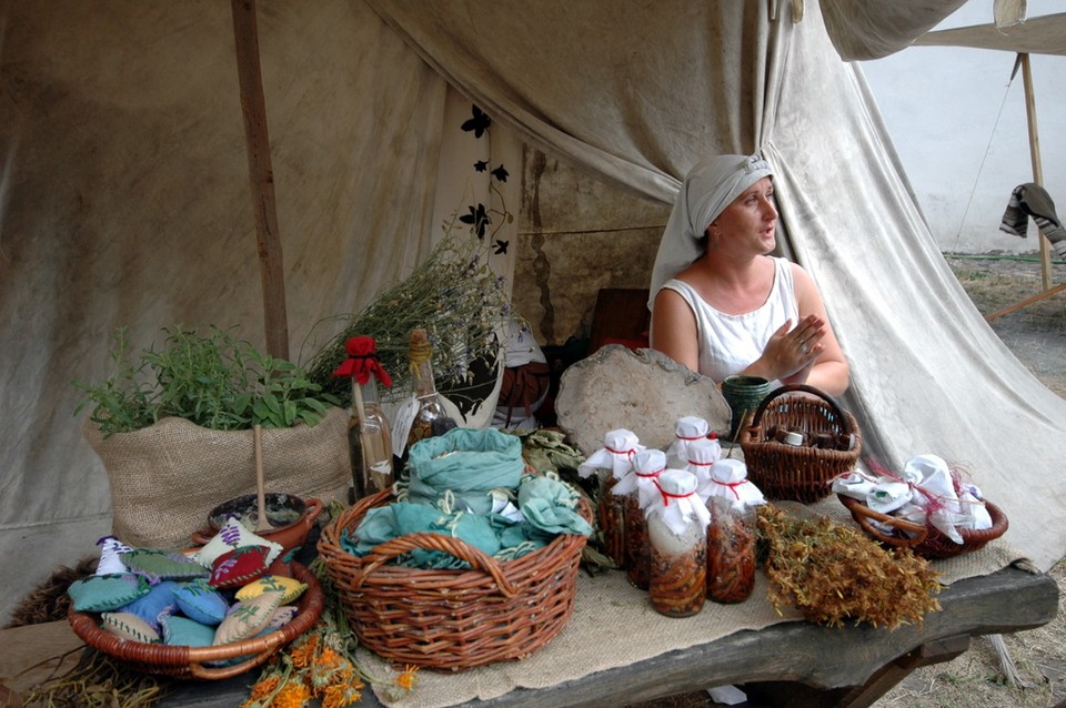 Oblężenie Malborka 2010