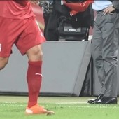 Fudbalska Reprezentacija Srbije Blic Sport