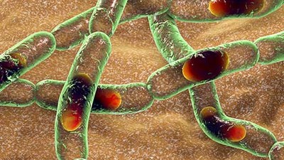 First case of anthrax has been confirmed in Nigeria. [CDC]