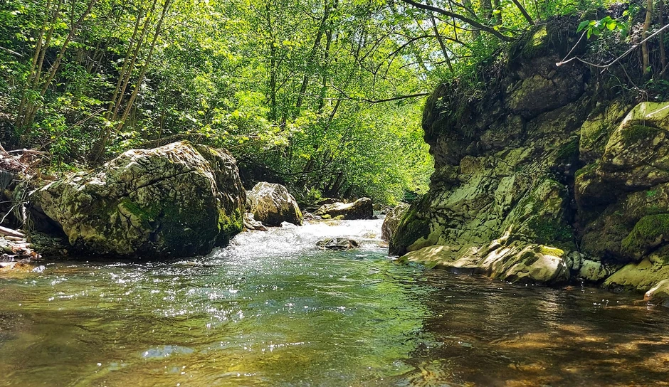 Veliki Rzav: Trenutni protok vode je dva kubika u sekundi