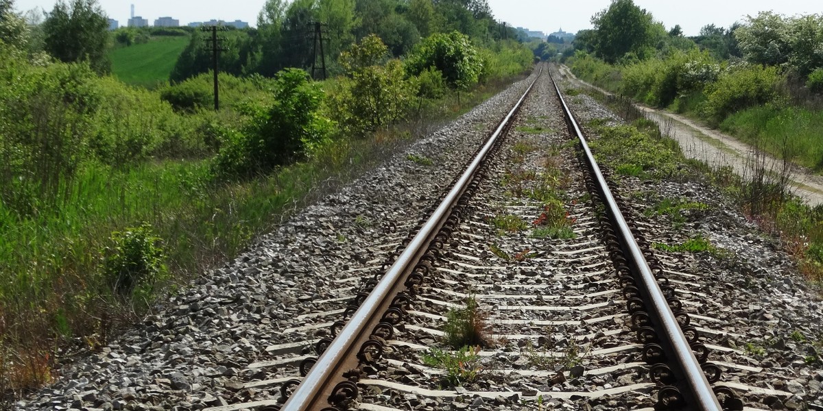 Wyprzedzał sznur samochodów. Wjechał prosto pod pociąg