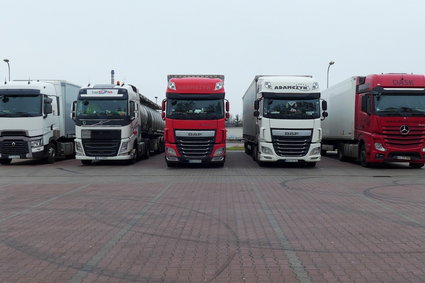 Widmo uziemionych ciężarówek w Polsce. Ukraińcy masowo biorą urlopy i wracają walczyć