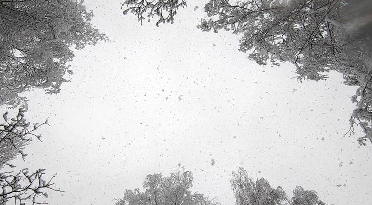 Ekkor havazik újra hazánkban Fotó: Northfoto