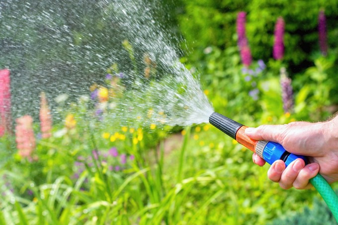 Locsolás közben esett össze egy férfi, a szomszédja hívta a mentőket