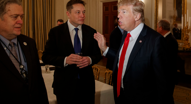 elon musk donald trump