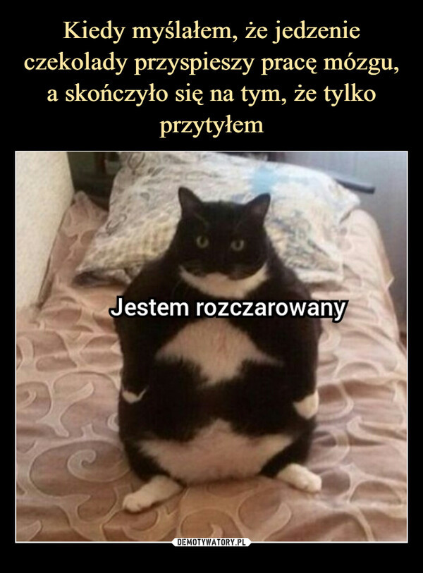 Dzisiaj świętujemy Dzień Czekolady. Te memy rozbawią cię do łez