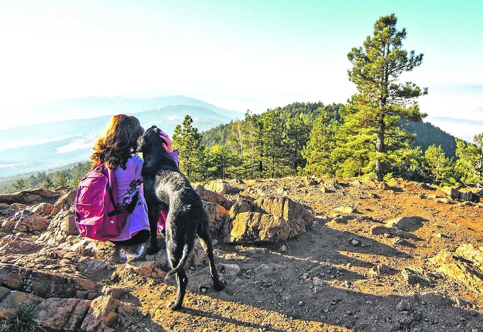 Sukob Mediterana i Karpata - Divčibare