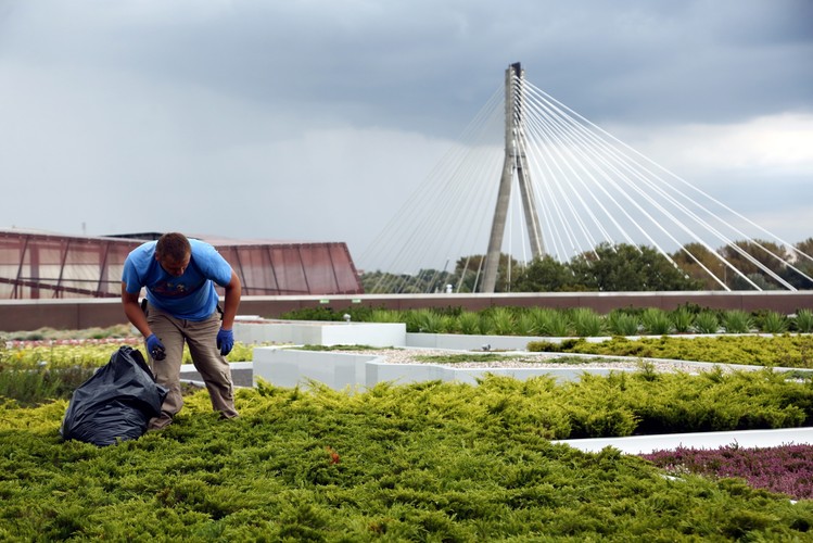 W pierwszy weekend działania ogrodu zwiedzający będą mogli odbyć spacer w towarzystwie botanika.<br><br> fot. (mr) PAP/Tomasz Gzell