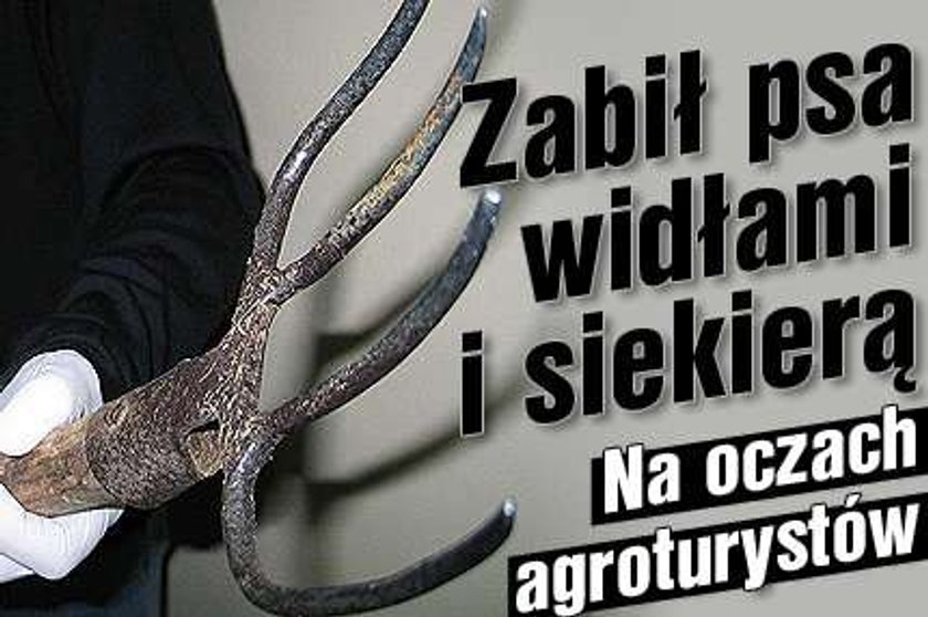 Zabił psa widłami i siekierą. Na oczach agroturystów