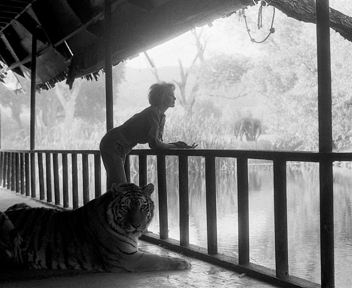 Tippi Hedren na terenie Shambala Preserve w 1991 r.