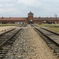 POLAND 2017: Auschwitz concentration and death camps