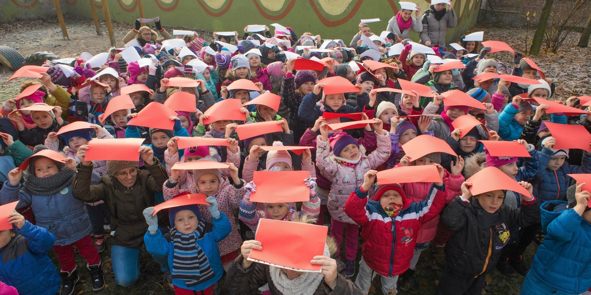 500 plus głównym czynnikiem wzrostu dochodów Polaków - wynika z raportu NBP