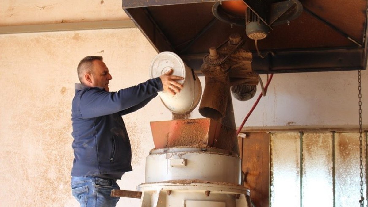 Cena peleta u padu: Kada je najbolje vreme za kupovinu ovog ogreva? Ključni saveti stručnjaka za povoljniju grejnu sezonu i niže troškove