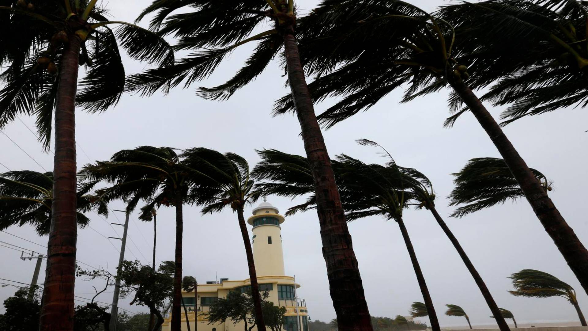 Kolumna Vedrane Rudan o uraganu Irma podigla region na noge