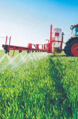 Rolniku, masz innowacyjny produkt spożywczy? Pomożemy Ci go wypromować! Nabór w ramach PROW już od 25 lipca!