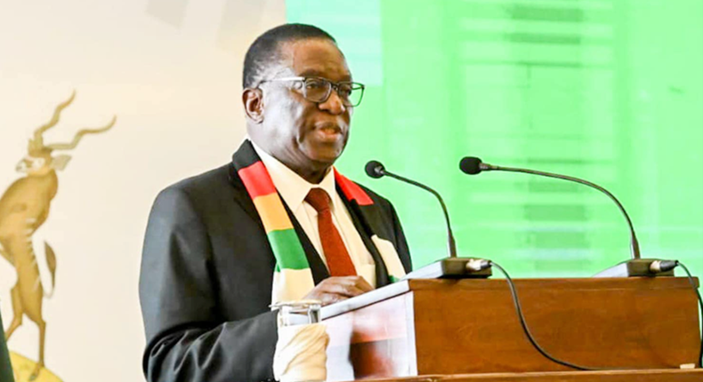 Zimbabwe President Emmerson Mnangagwa speaks at ADPA meeting Source – Facebook