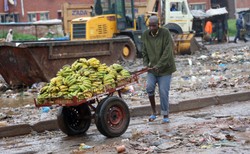 Epidemia w Harare. Dur brzuszny zabił już kilkadziesiąt osób [ZDJĘCIA]