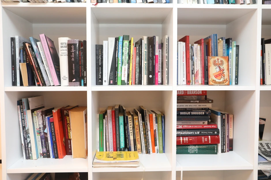 Vesna de Vinča - dom