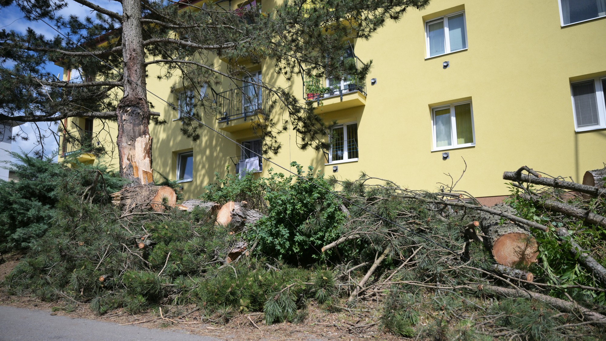 Konáre zo stromov v meste Gelnica po veternej smršti.