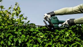 Einhell, Makita & Co.: Wer hat die beste Akku-Strauchschere für den Garten?